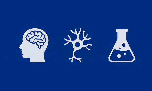 RISULTATI PROVA ORALE DEL CONCORSO PER L’AMMISSIONE AL CORSO DI DOTTORATO DI RICERCA IN AREA DEL FARMACO E TRATTAMENTI INNOVATIVI.